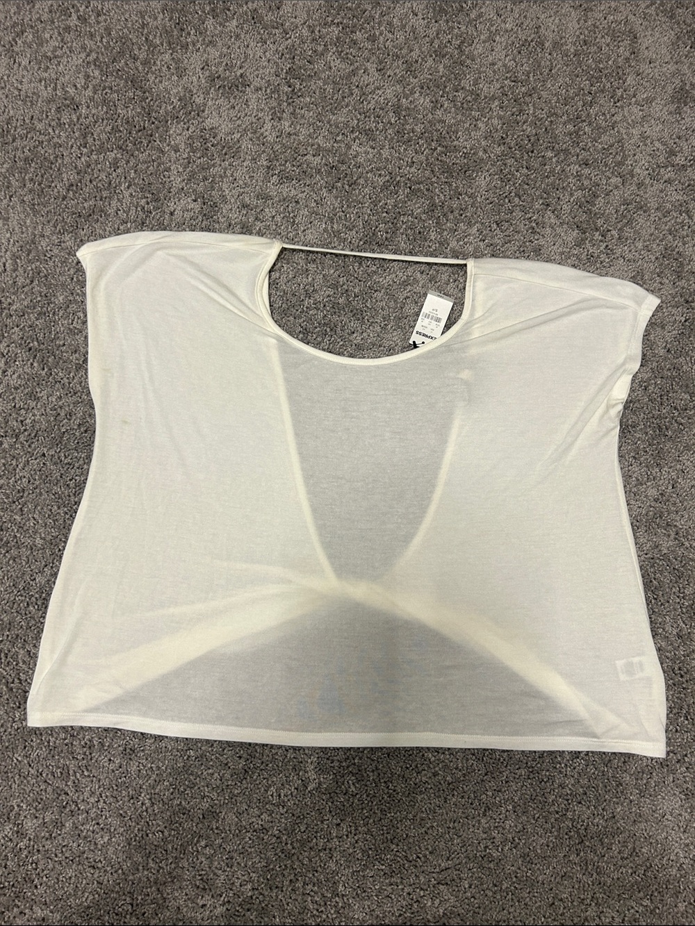 Express White Sheer Short-Sleeve Crop Top
